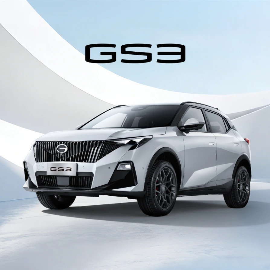GS3